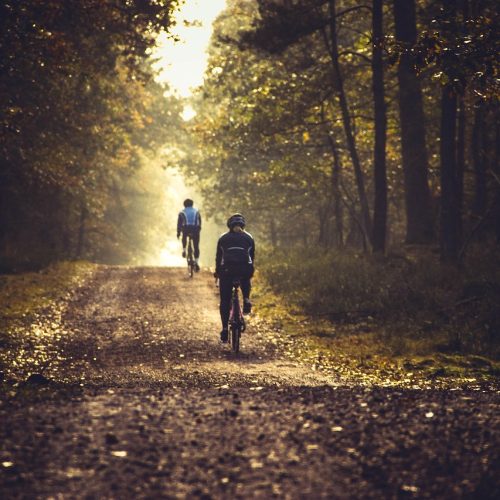vtt vtt